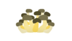 きのこ栽培